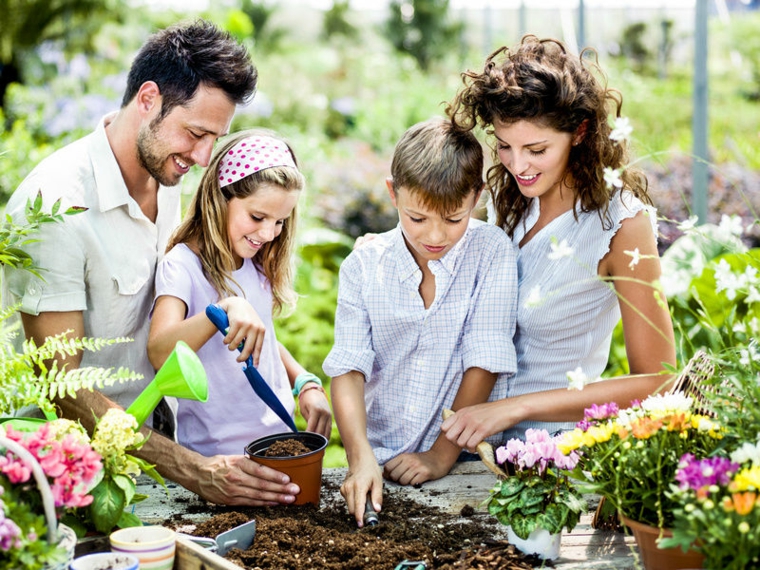 sembrar plantas familia terreno flores