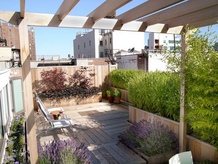 Michael Gray Architects diseno terraza pergola ideas