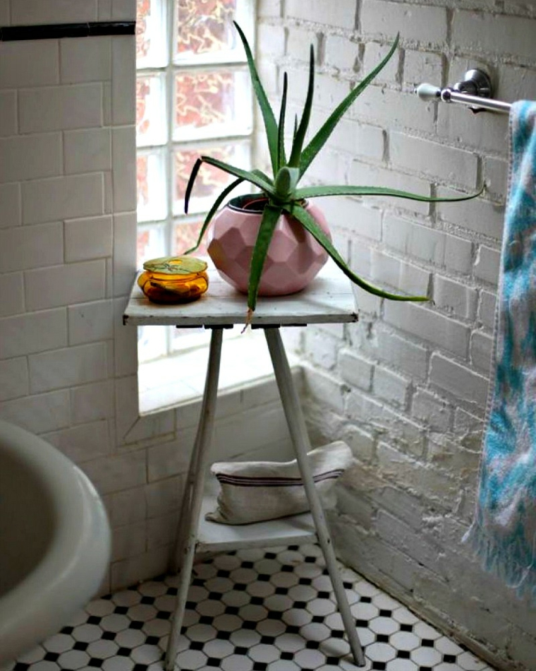 maceta con aloe vera en el baño decorar con plantas opciones aloe vera bano ideas
