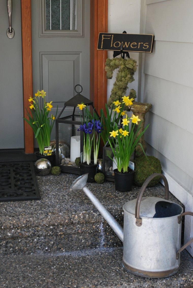 combinacion con flores y regadera entradas casas especiales muros flores