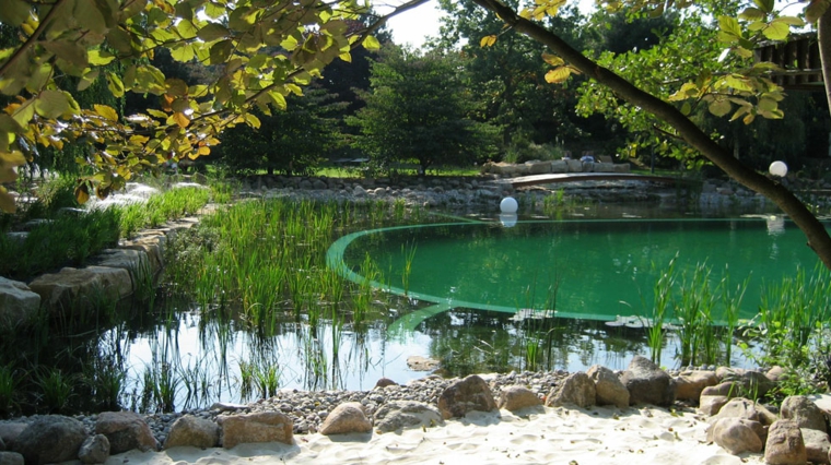 estanque piscina con plantas estanque natural piscina jardin