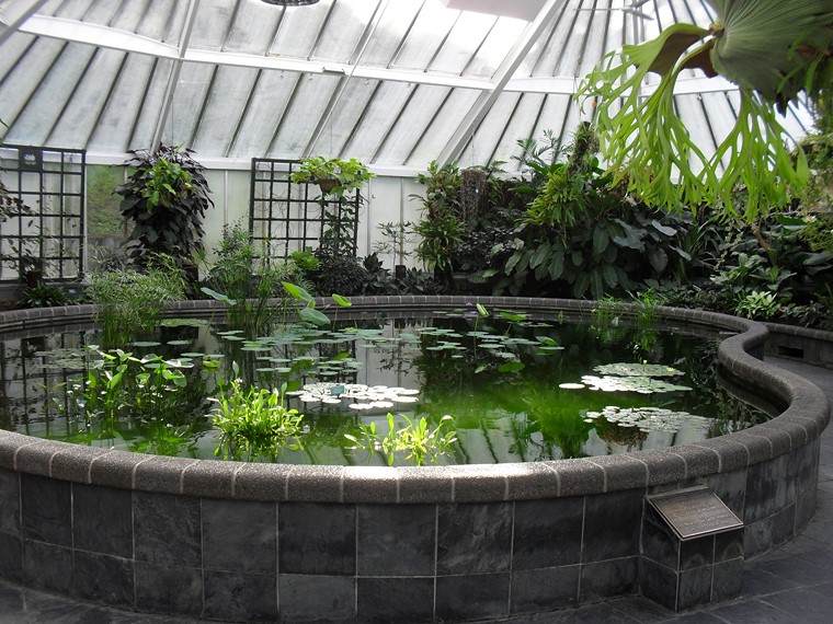 estanques de jardin opciones aire libre peces interior ideas