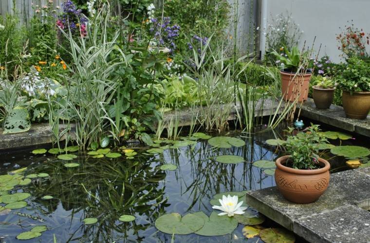 estanques jardin opciones aire libre estanque rodeado macetas ideas