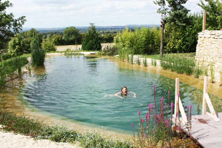 estupenda piscina natural con plantas estupenda piscina natural pato