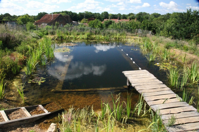 estupenda piscina natural con plantas estupenda piscina natural estanque plantas
