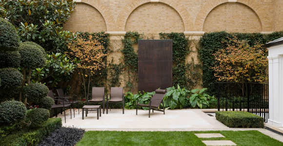 Plantas de jardín - 6 arbustos y consejos sobre cómo cuidar de ellos