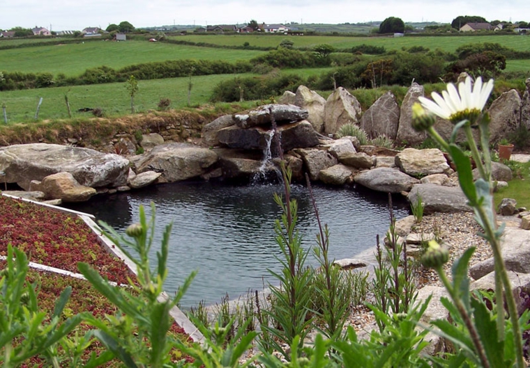 rocalla con piscina natural rocalla piscina natural plantyas