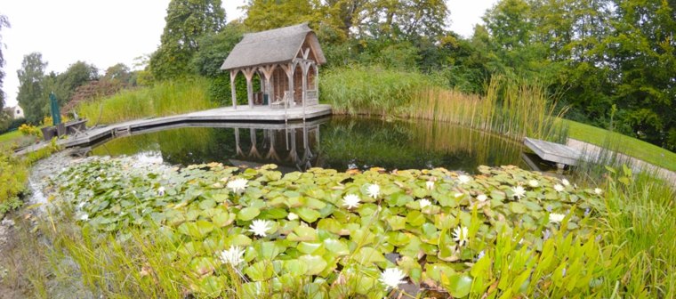 original estanque flores loto