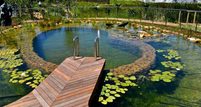 piscina natural floresloto