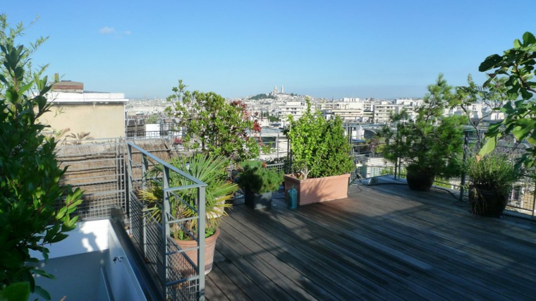 La azotea y como llenarla de plantas en 26 ideas