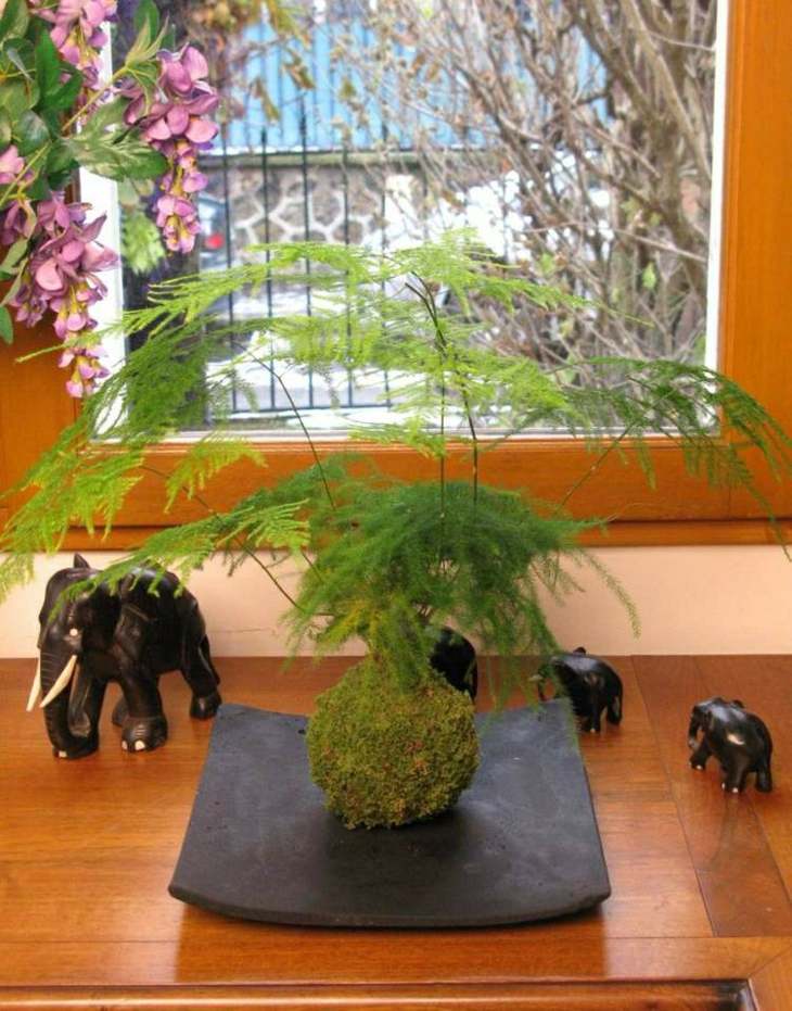 elefantes accesorios decoraciones efectos efectos