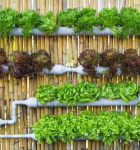 Huerto vertical 34 maneras de sembrar vegetales