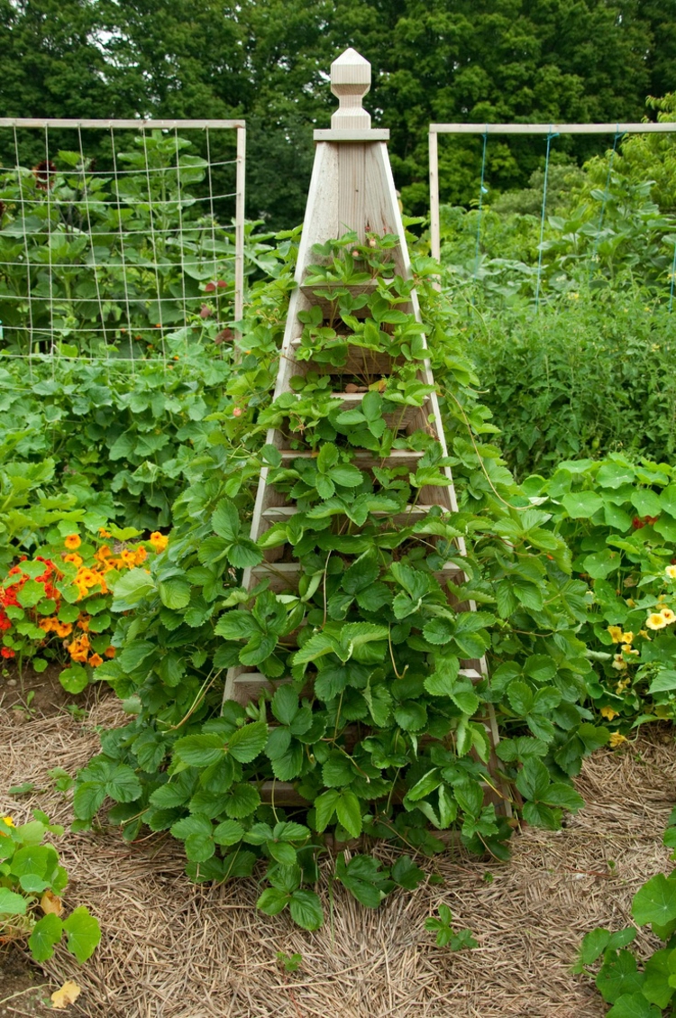 Huerto vertical 34 maneras de sembrar vegetales