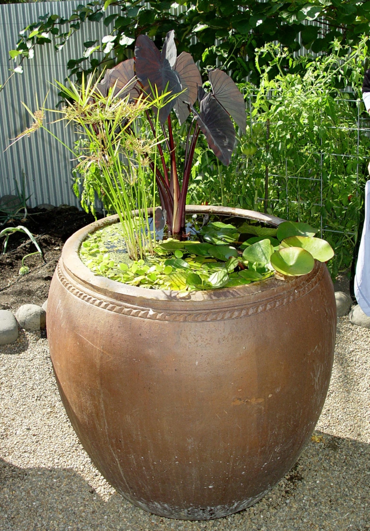 macetero grande con jardín acuático ideas originales plantas agua macetero
