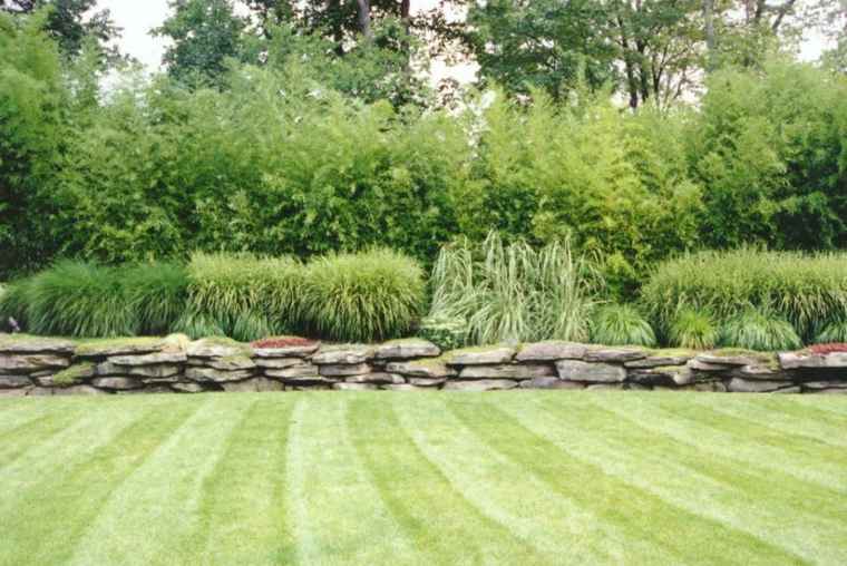 Verde en el jardín - trucos e ideas para un buen mantenimiento
