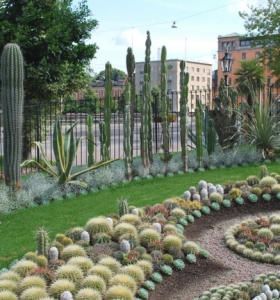 Jardin de cactus, ideas para creaciones impresionantes