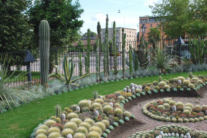 jardin de cactus fuentes circulares