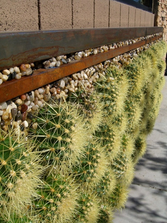 jardin de cactus muro bolas muro