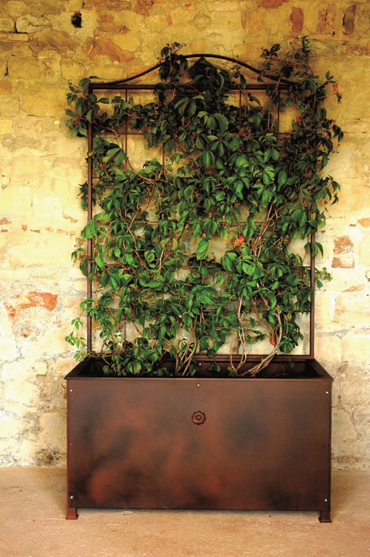 ideas para tus plantas trepadoras jardineras macetas opciones interesantes plantas trepadoras ideas