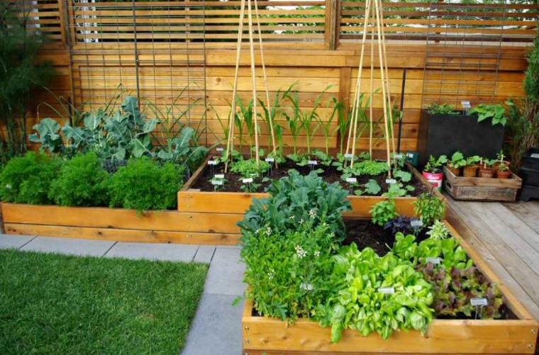 opciones para los que quieren un jard'in con verduras jardineras macetas opciones interesantes verduras jardin ideas