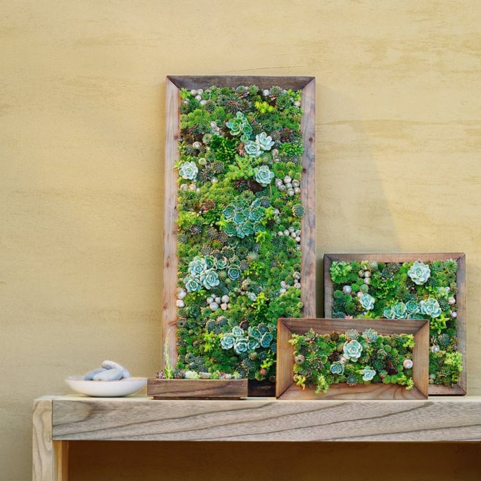 Jardines suculentas en proyectos creativos increíbles