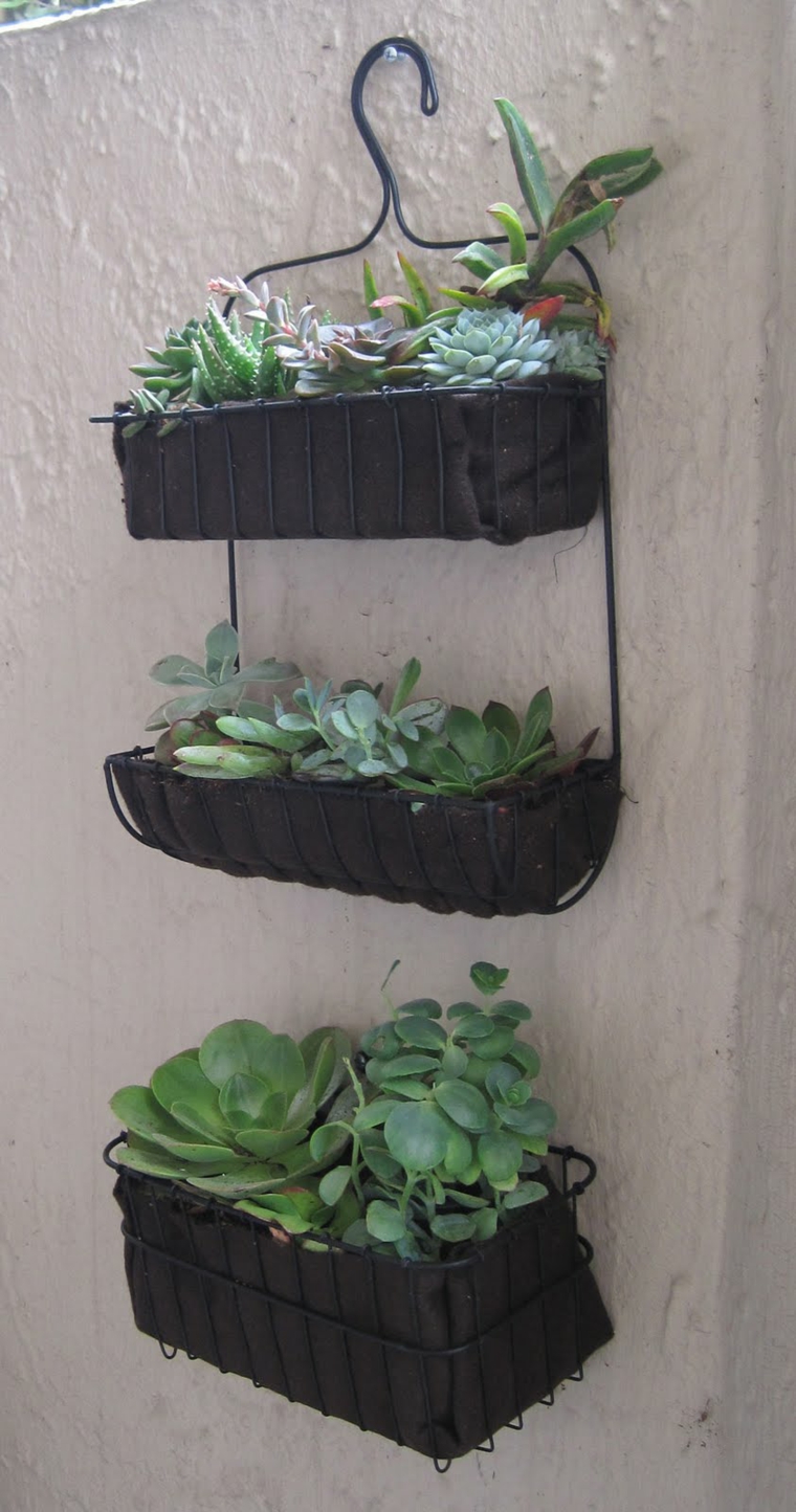 ideas interesantes para tus plantas manualidades opciones colgar plantas percha ideas