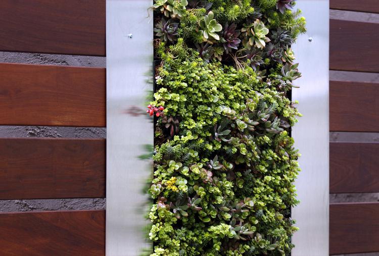 diseño de jardín vertical de Roxy Kim-Perez Zen Garden diseño de Roxy Kim-Perez Zen Garden