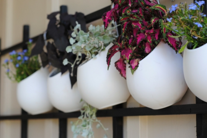 Paredes y vallas con jardines verticales