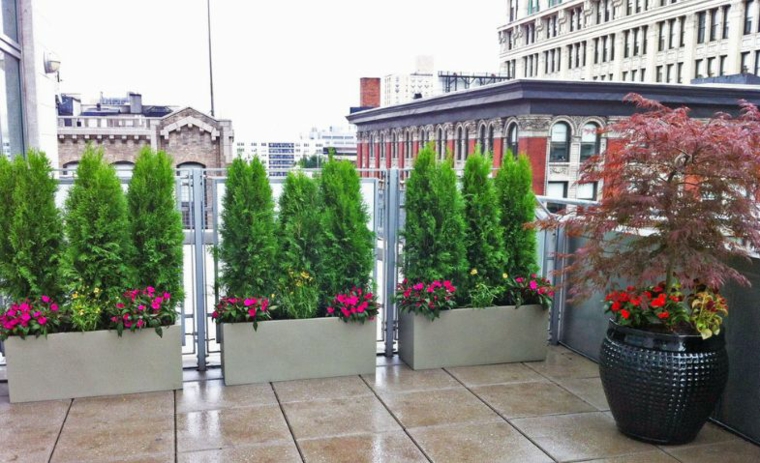 macetas esconden la barandilla en la terraza plantas terraza macetas opciones interesantes ideas