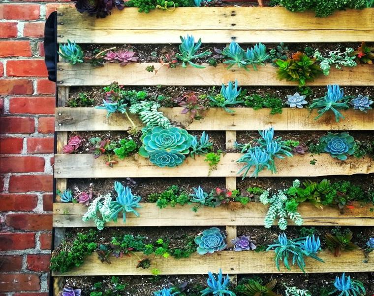 jardín vertical de suculentas en un palet de madera preciosos diseños jardineras verticales