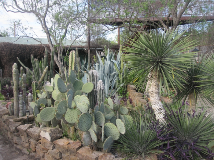 rustico imagenes naturales formas tejado
