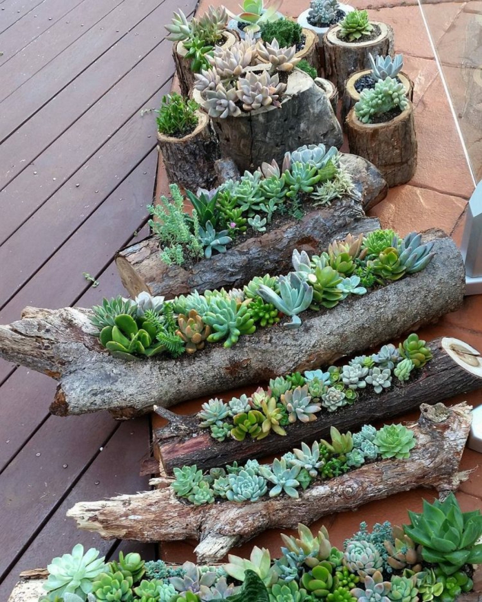 Jardines suculentas en proyectos creativos increíbles