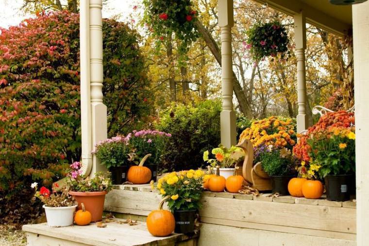 adultos bonito porche otoño