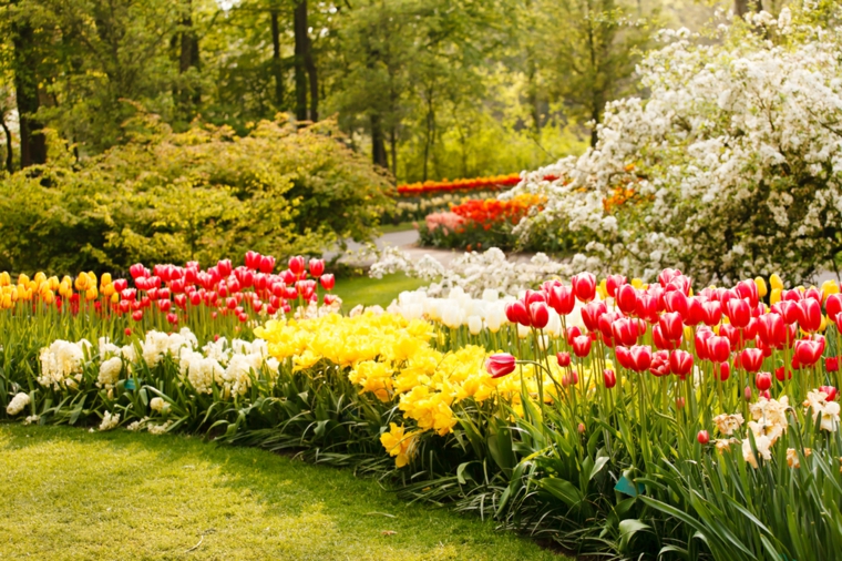 las flores son un perfecto contraste flores colores combinaciones salas amarillo