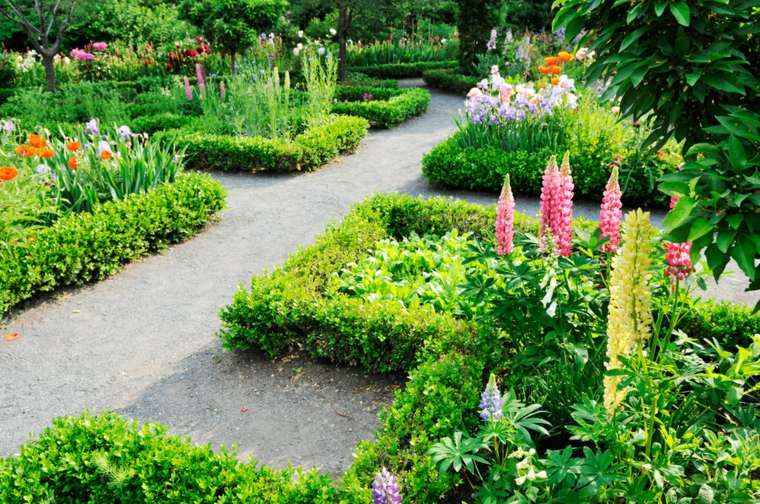 las plantas de baja altura plantas bajas permiten vista patio pequeñas