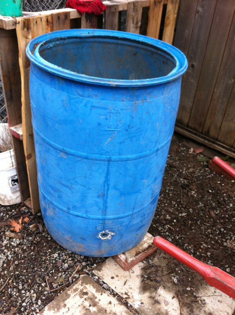 Cómo cultivar patatas en un barril