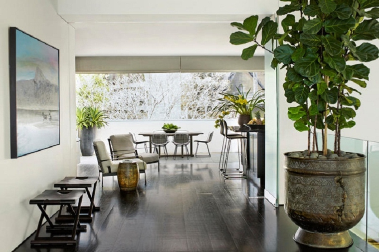 decoración plantas de interior grandes
