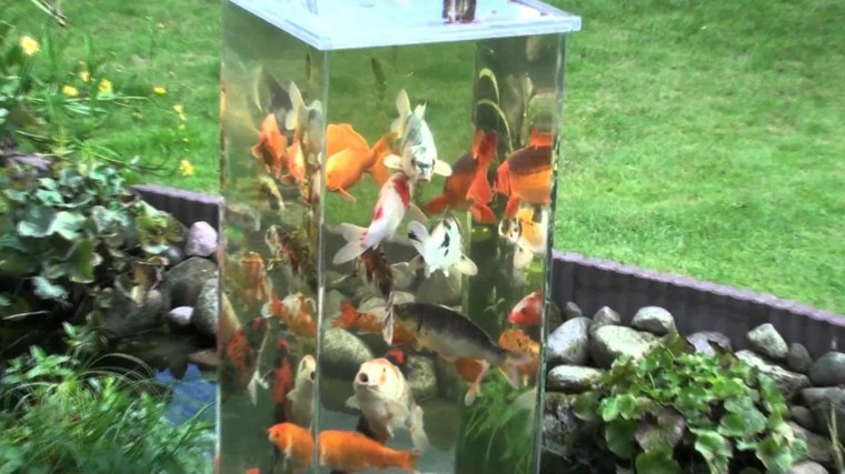 fuente jardin con peces