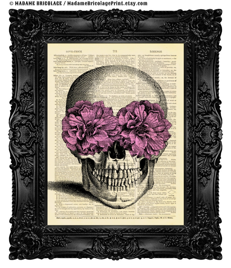 imagen de calavera imagen papel libro calavera