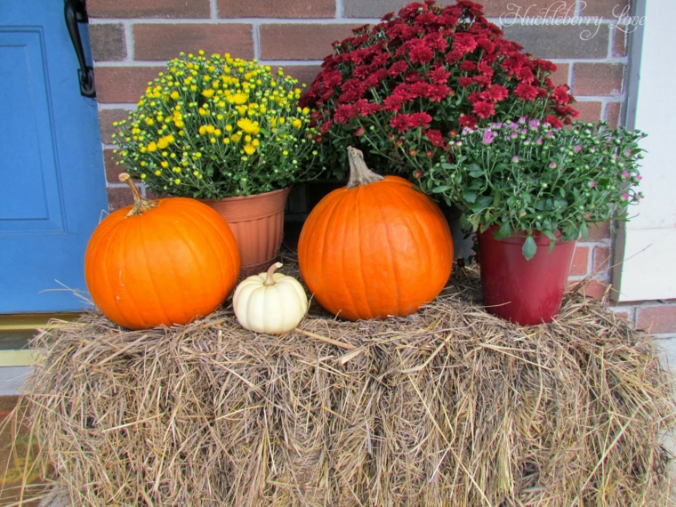 El otoño en tu balcón - recibe la nueva estación con alegría