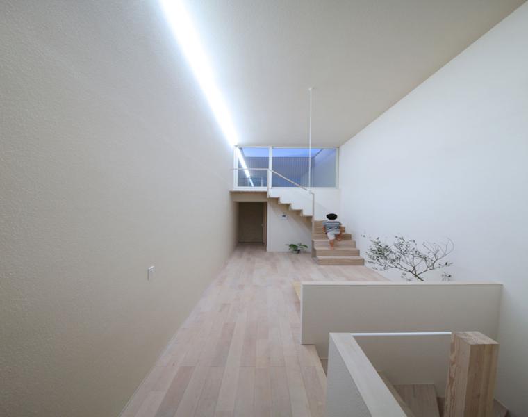 pasillo estilo minimalista suelo madera