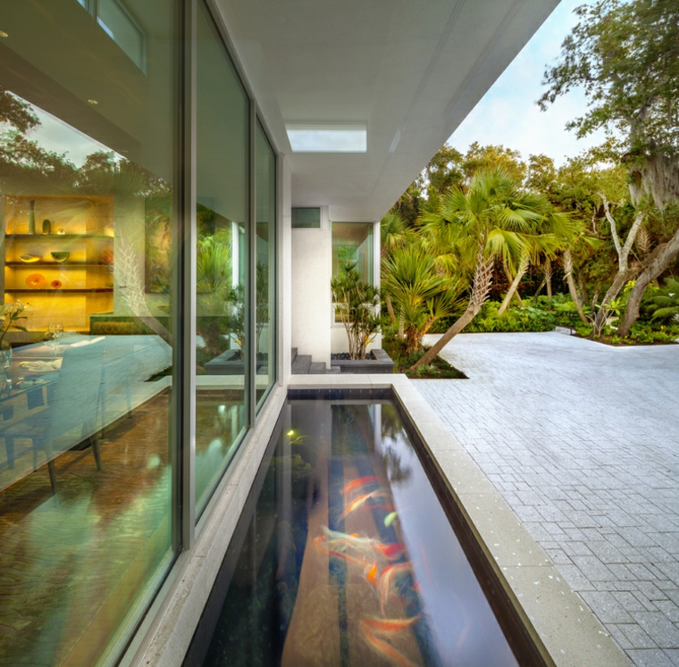 Peces de agua dulce koi para criar en el jardín moderno