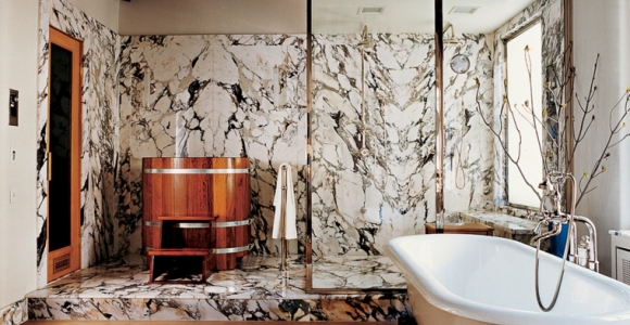 Bañera con ducha, 50 variantes de diseño para combinarlas.