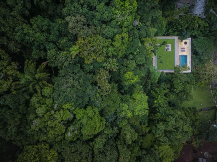 selva tropical rodea casa moderna ideas