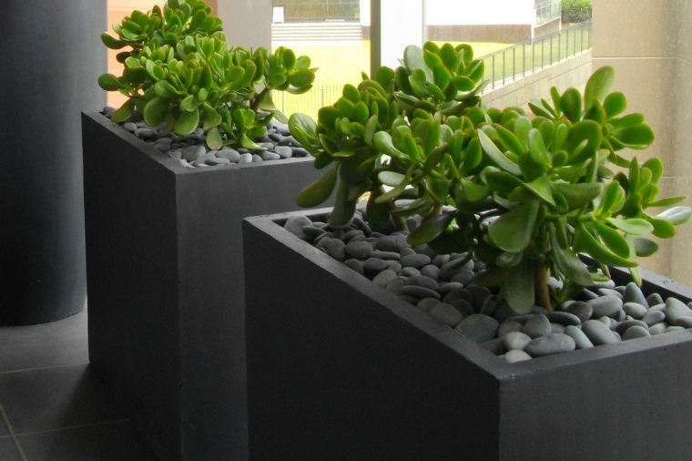 terraza con plantas verdes terraza con plantas verdes
