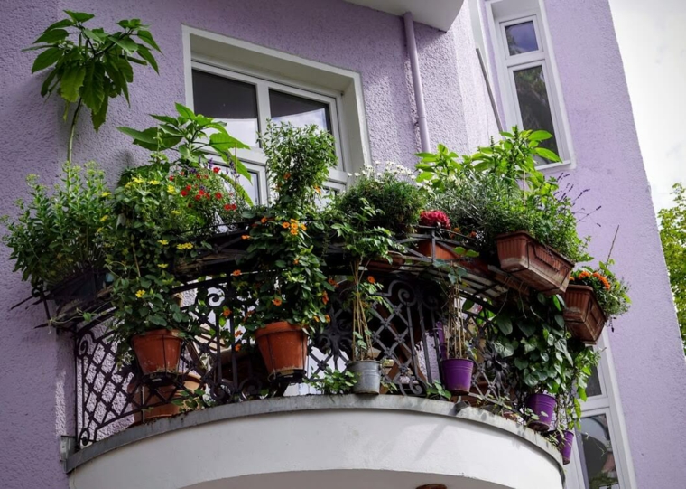 terrazas con plantas por fuera terrazas con plantas fuera