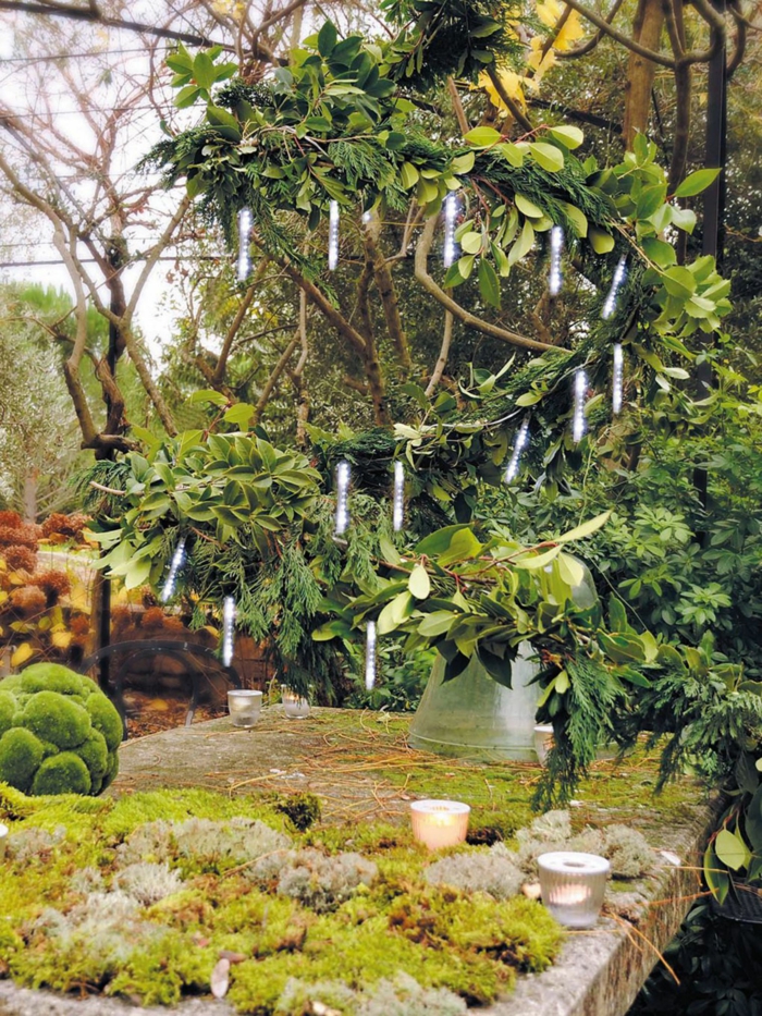 plantas jardines decoracion salas ramas