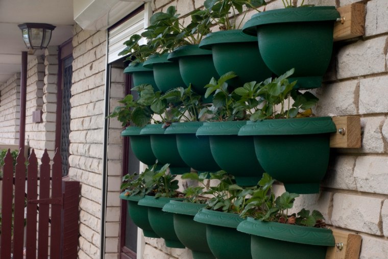 colocar estantes macetas plantas pared