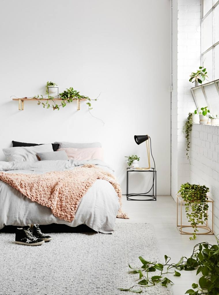dormitorio minimalista relajante plantas opciones diseno ideas