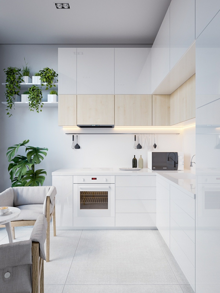 estilo escandinavo cocinas diseno plantas diseno minimalista ideas